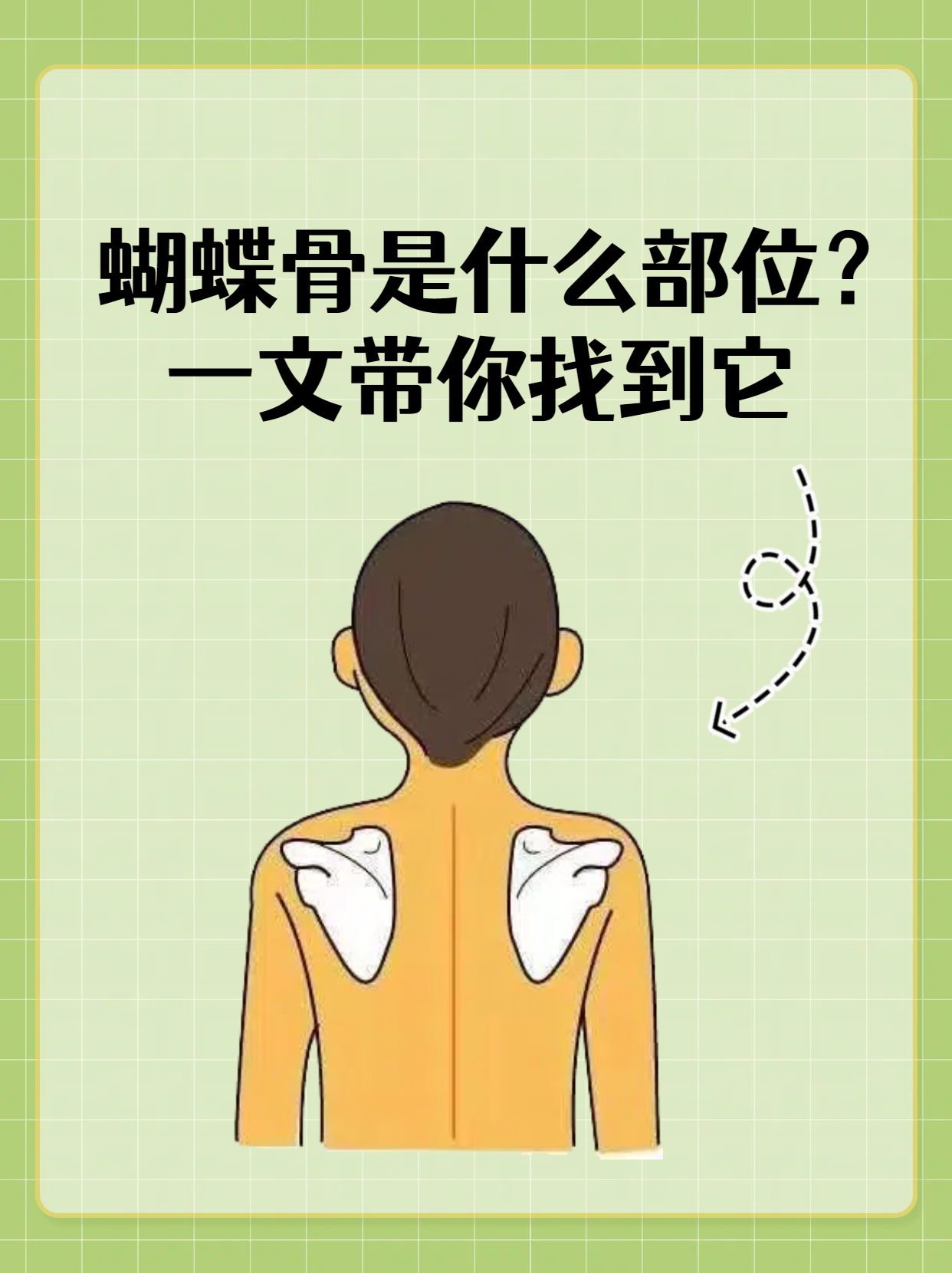 蝴蝶骨是什么部位?一文带你找到它