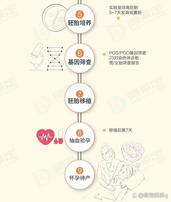 三代试管过程图片