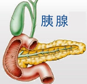 br    去探望住院的好友