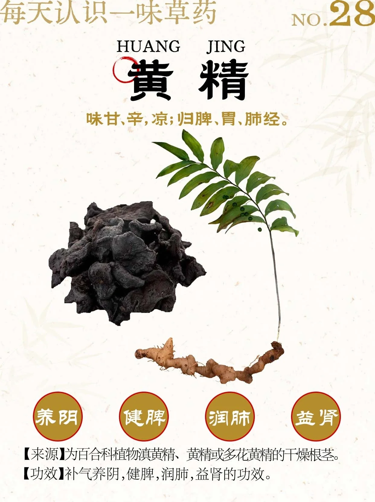 每天认识一味中药材