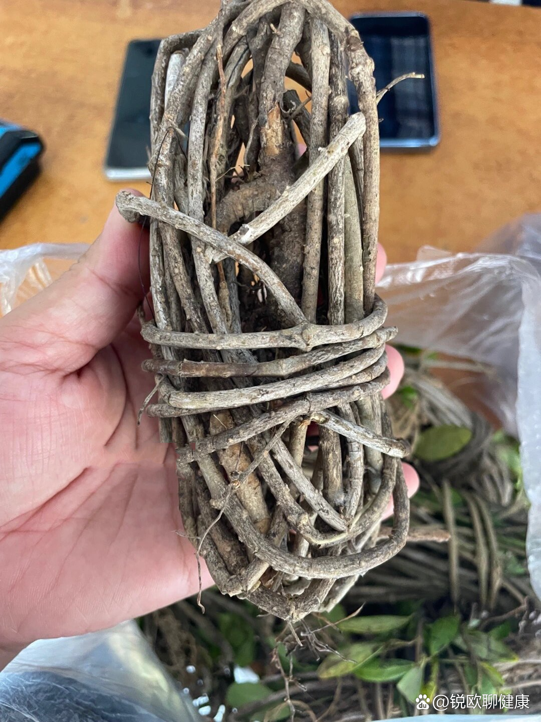鸡屎藤具有祛风利湿,止痛解毒,消食化积,活血消肿之功效.