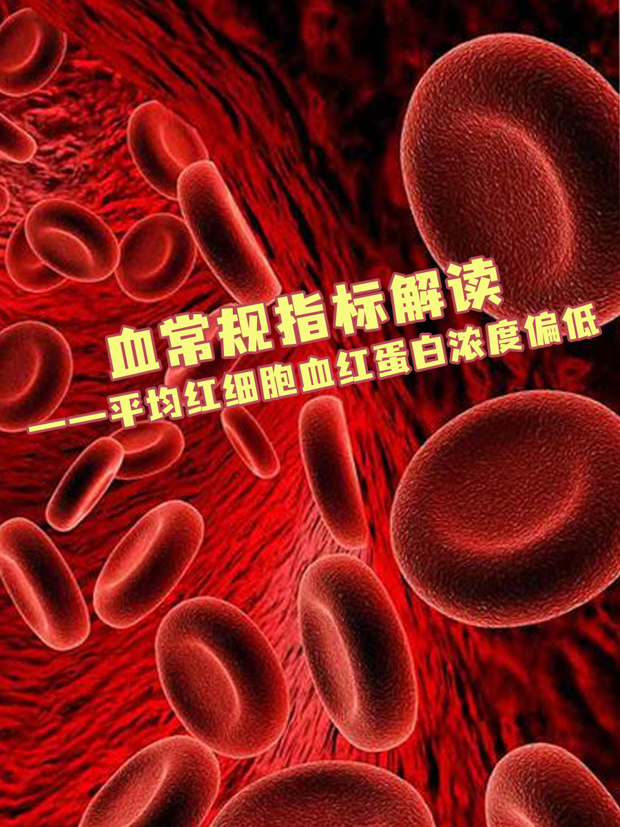 血常规指标解读—平均红细胞血红蛋白浓度偏低