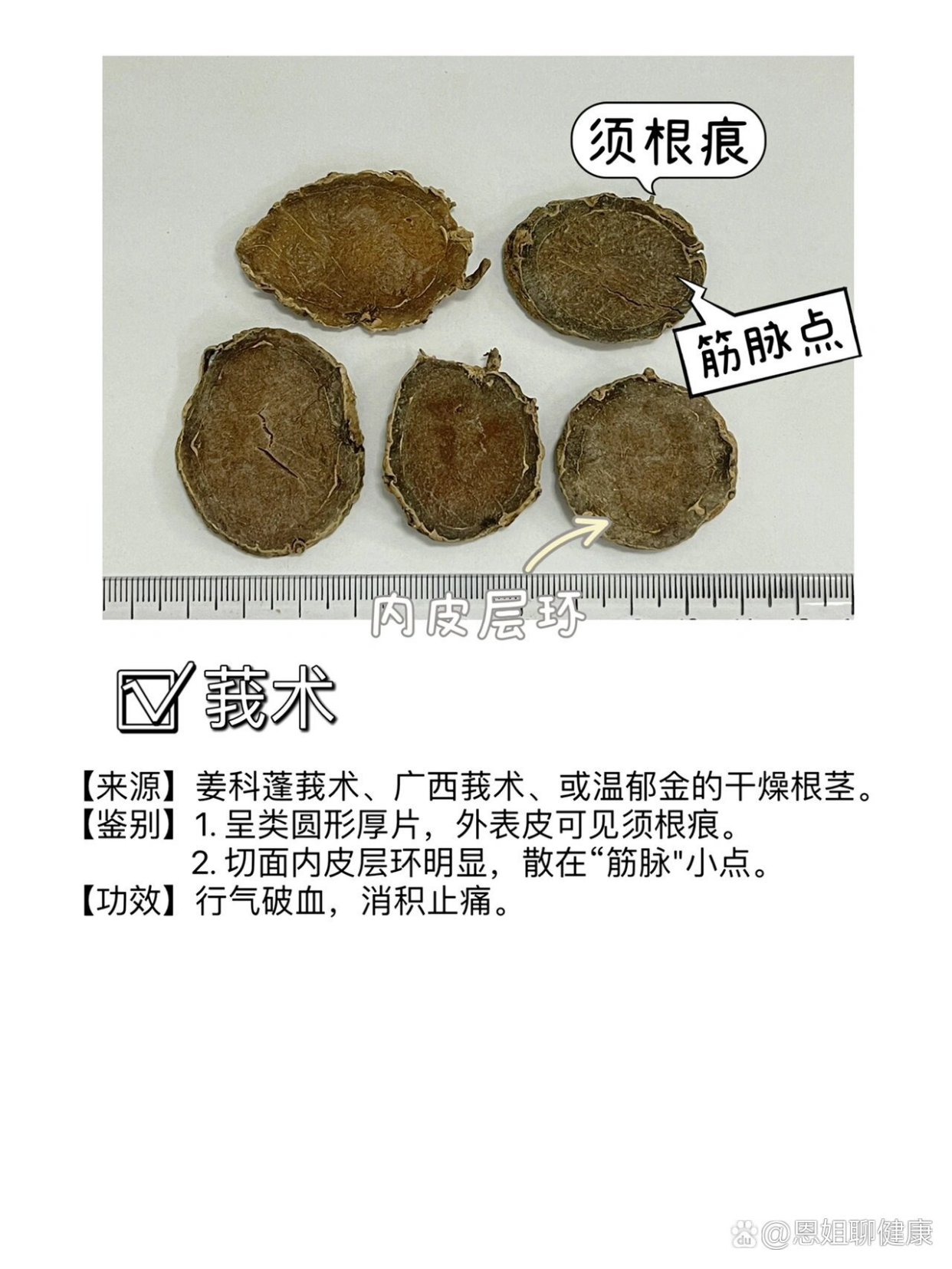 看图识药，根及根茎类中药鉴别整理