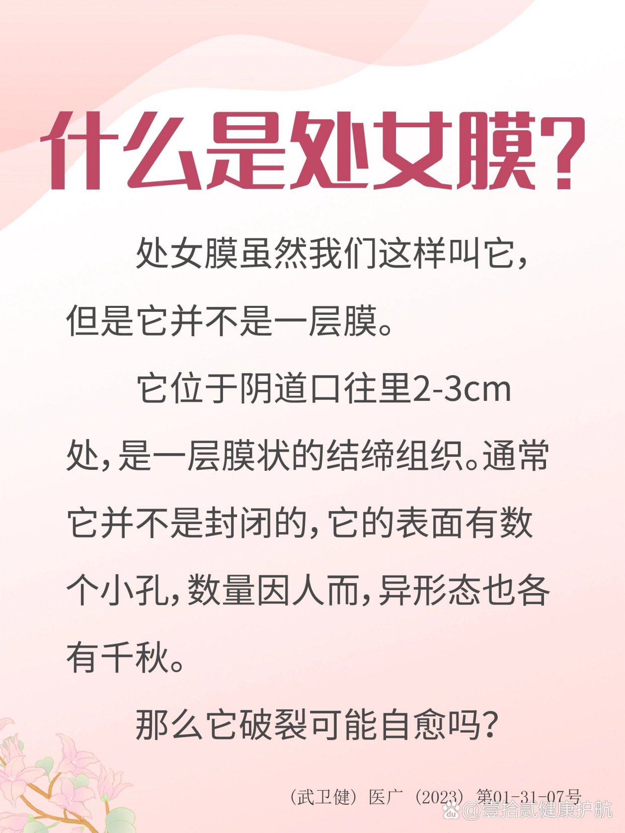 处女膜 