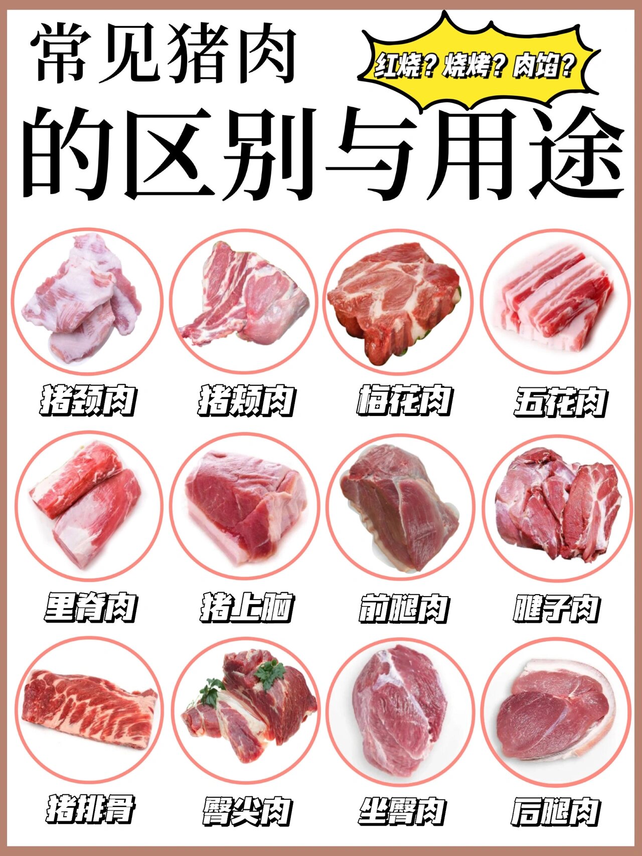 常见猪肉各部位的区别与用途/附做法