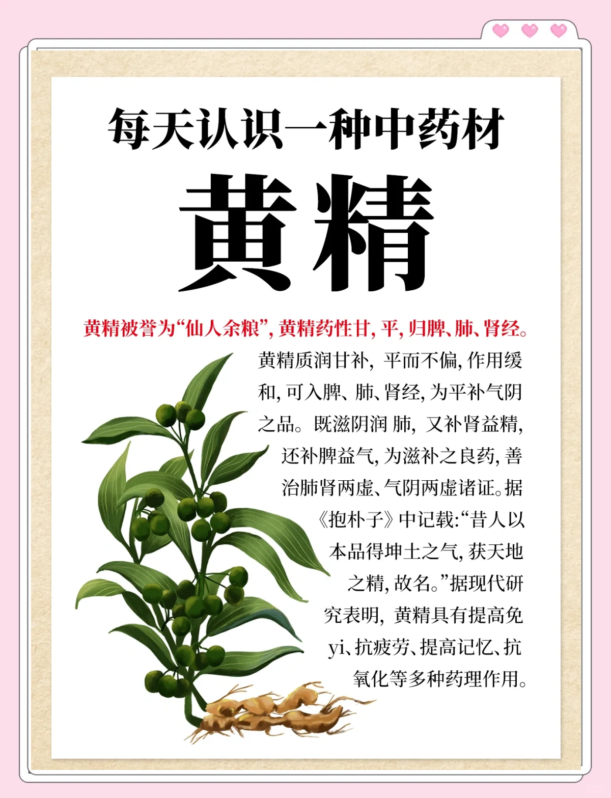 黄精：滋补圣品，食用有讲究！