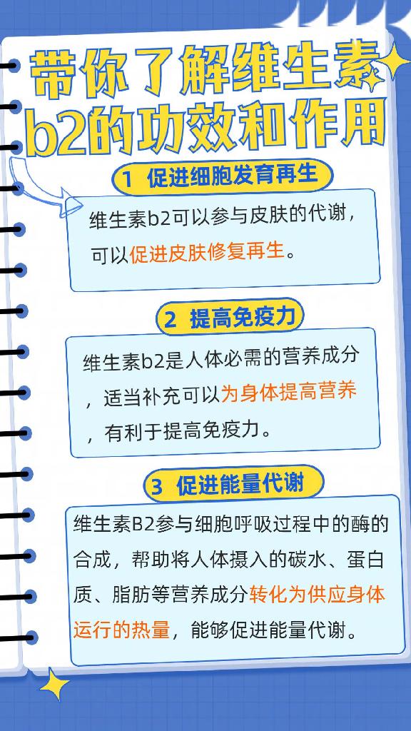 带你了解维生素b2的功效和作用