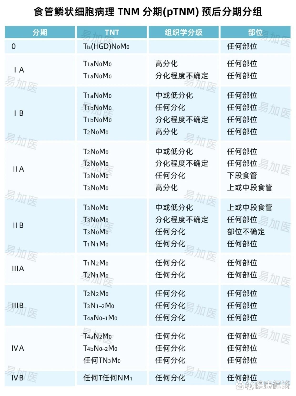 胃镜下食管癌分期图片图片