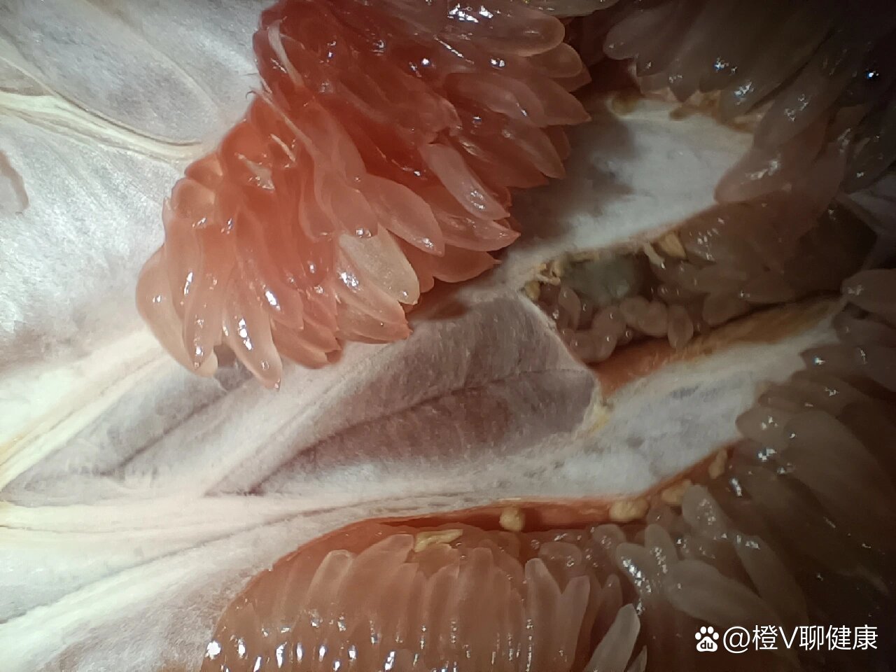 柚子里面有发霉的地方