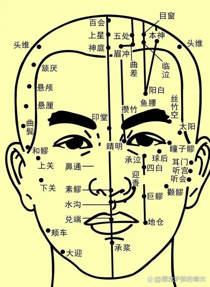 面部穴位