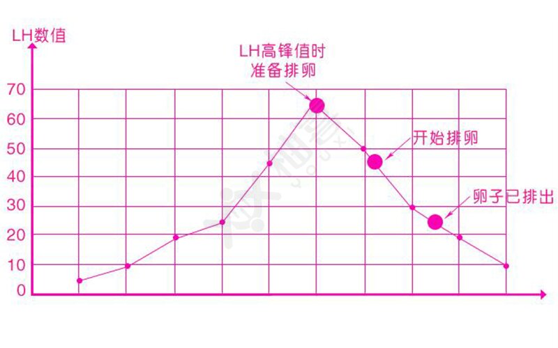 移植后排卵试纸变化图图片