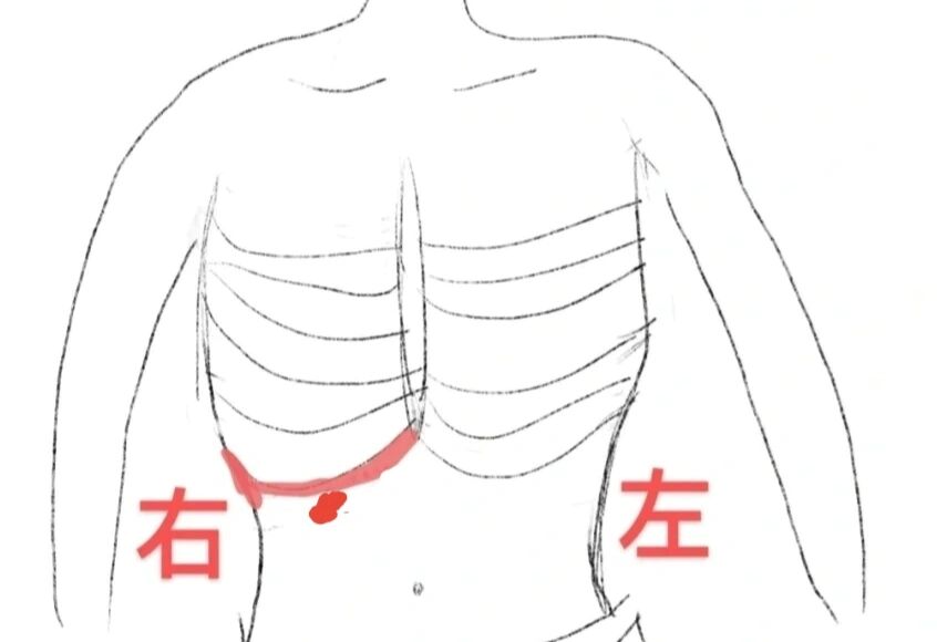 右侧肋骨下方疼痛图图片