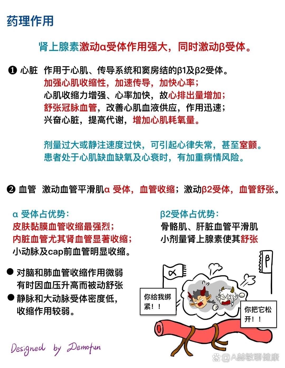 去甲肾上腺素药理作用图片