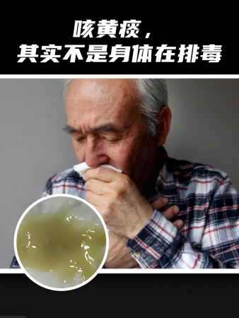咳黄痰，其实不是身体在排毒