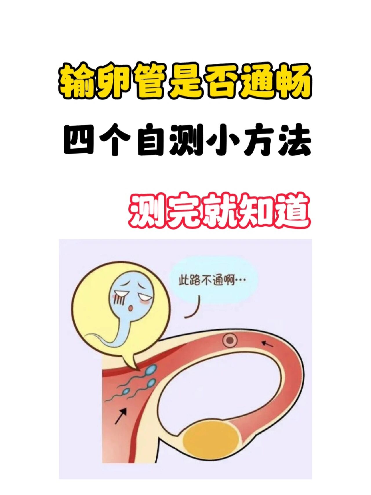 输卵管自测9种方法图片