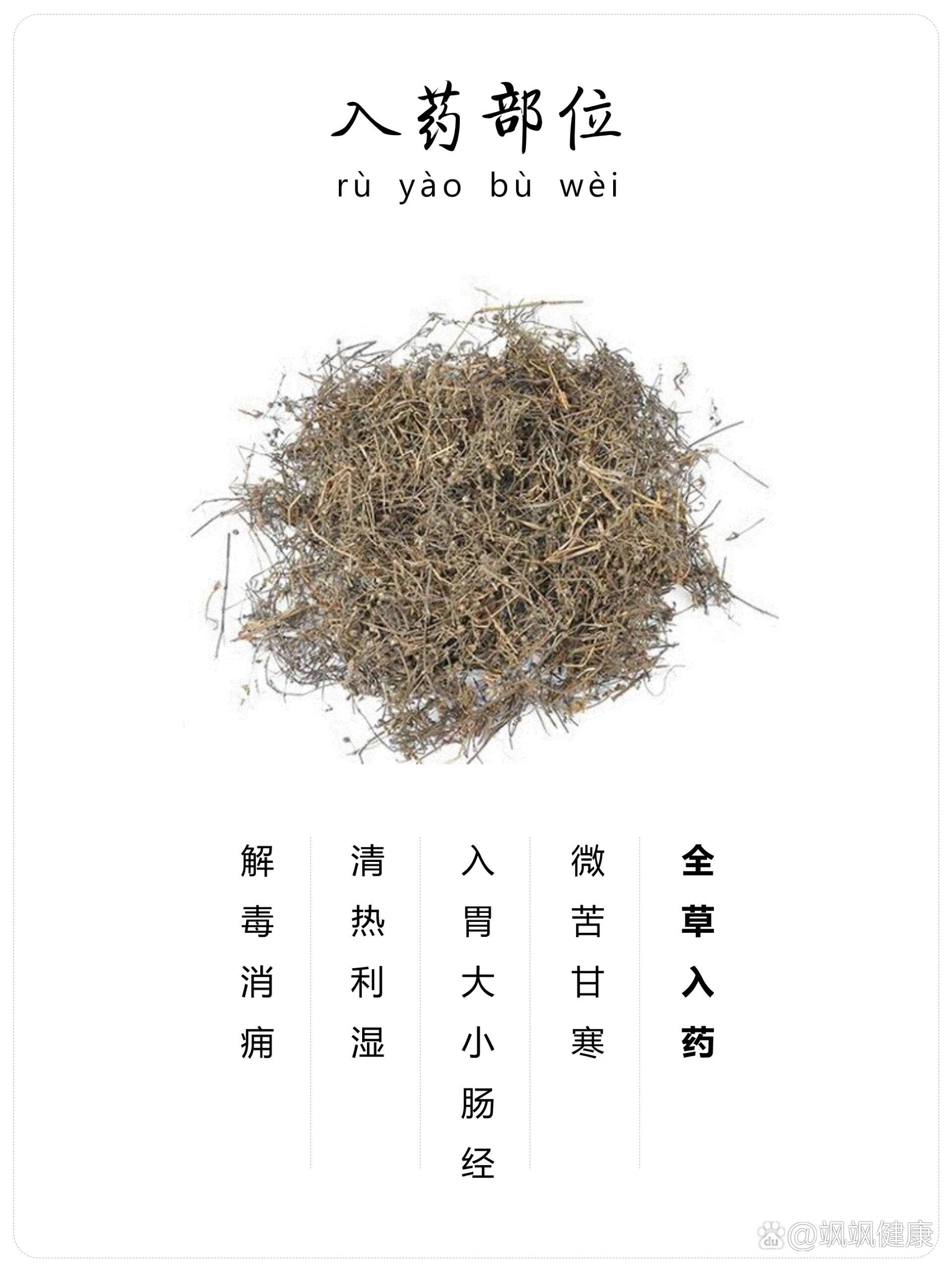 每天认识一味中草药