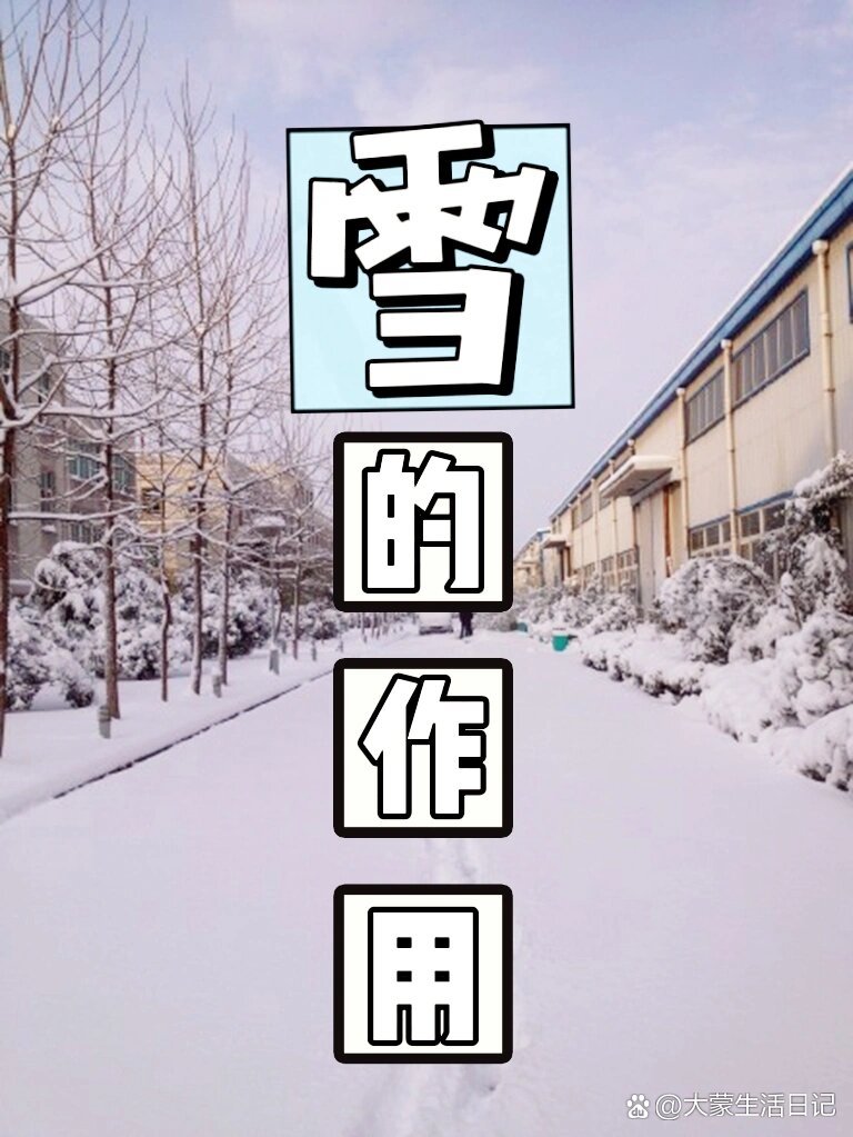 雪的作用