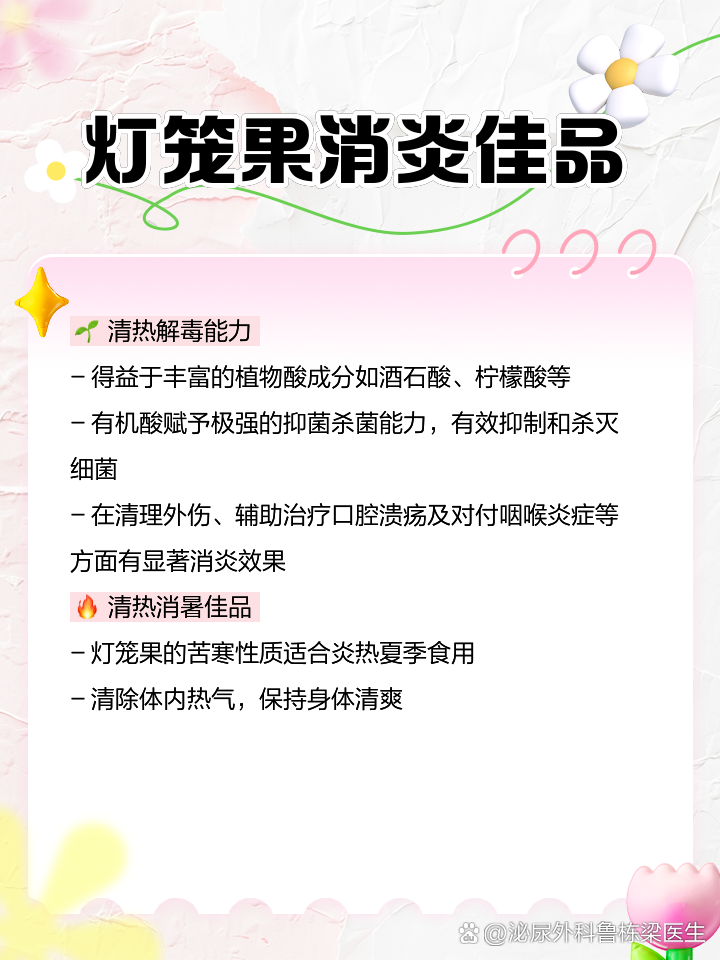 灯笼果的功效与禁忌图片