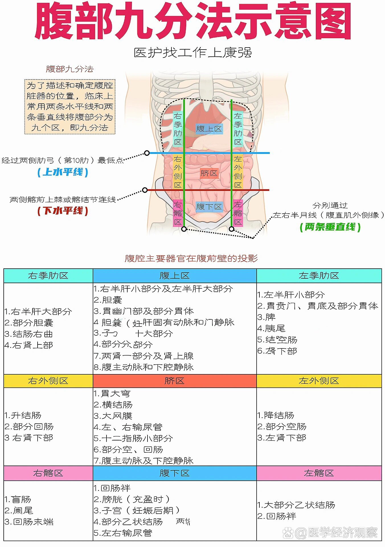 腹部九分法图片图片