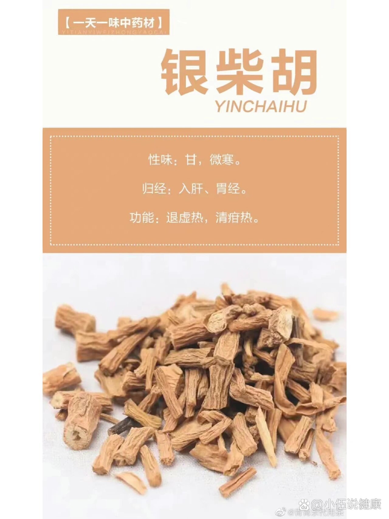 银柴胡的作用图片