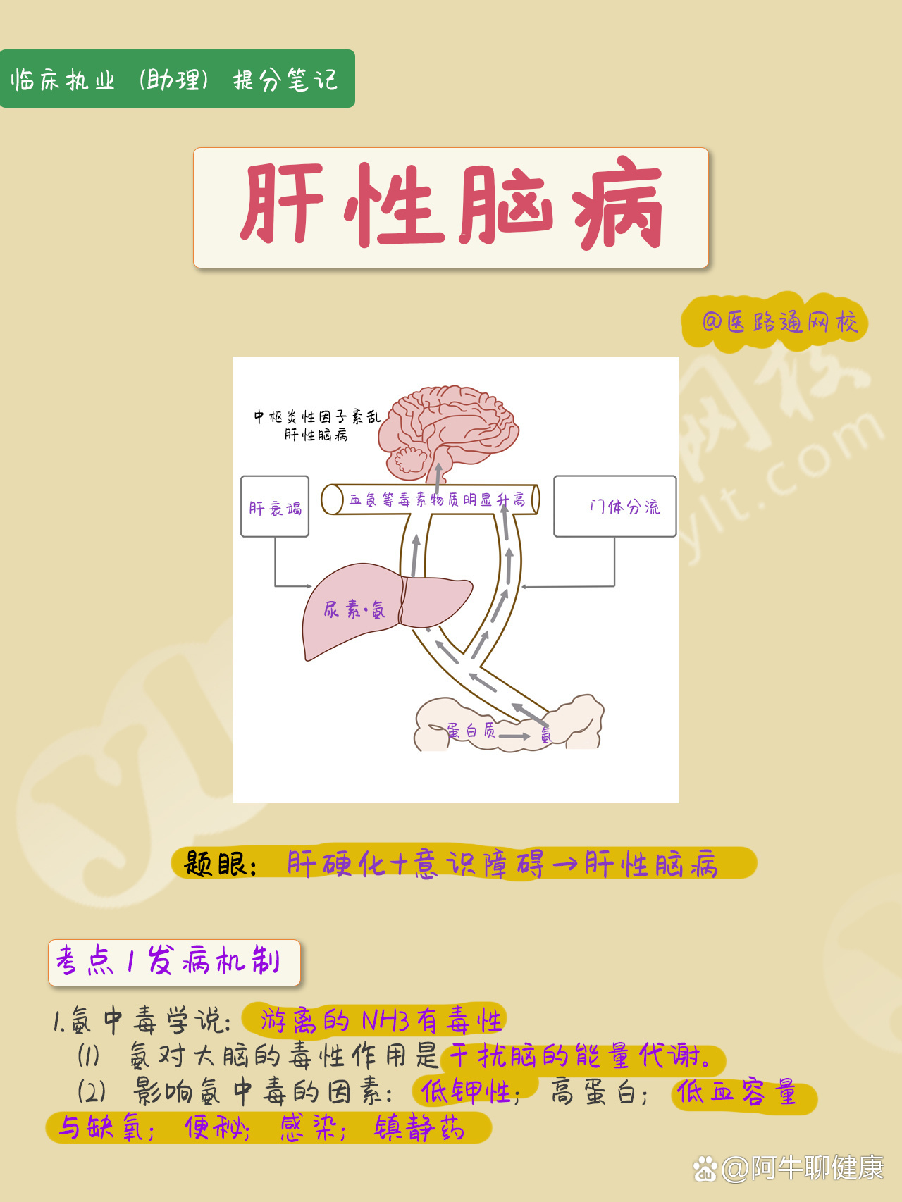 肝性脑病的表现分5期图片