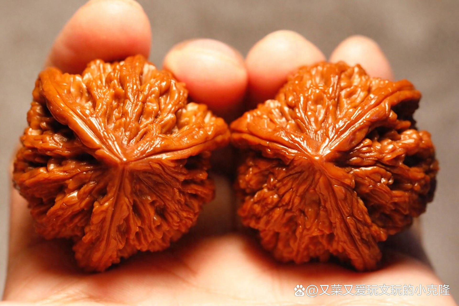 文玩核桃皮质鉴别：红皮黄皮怎么选？盘错毁半年