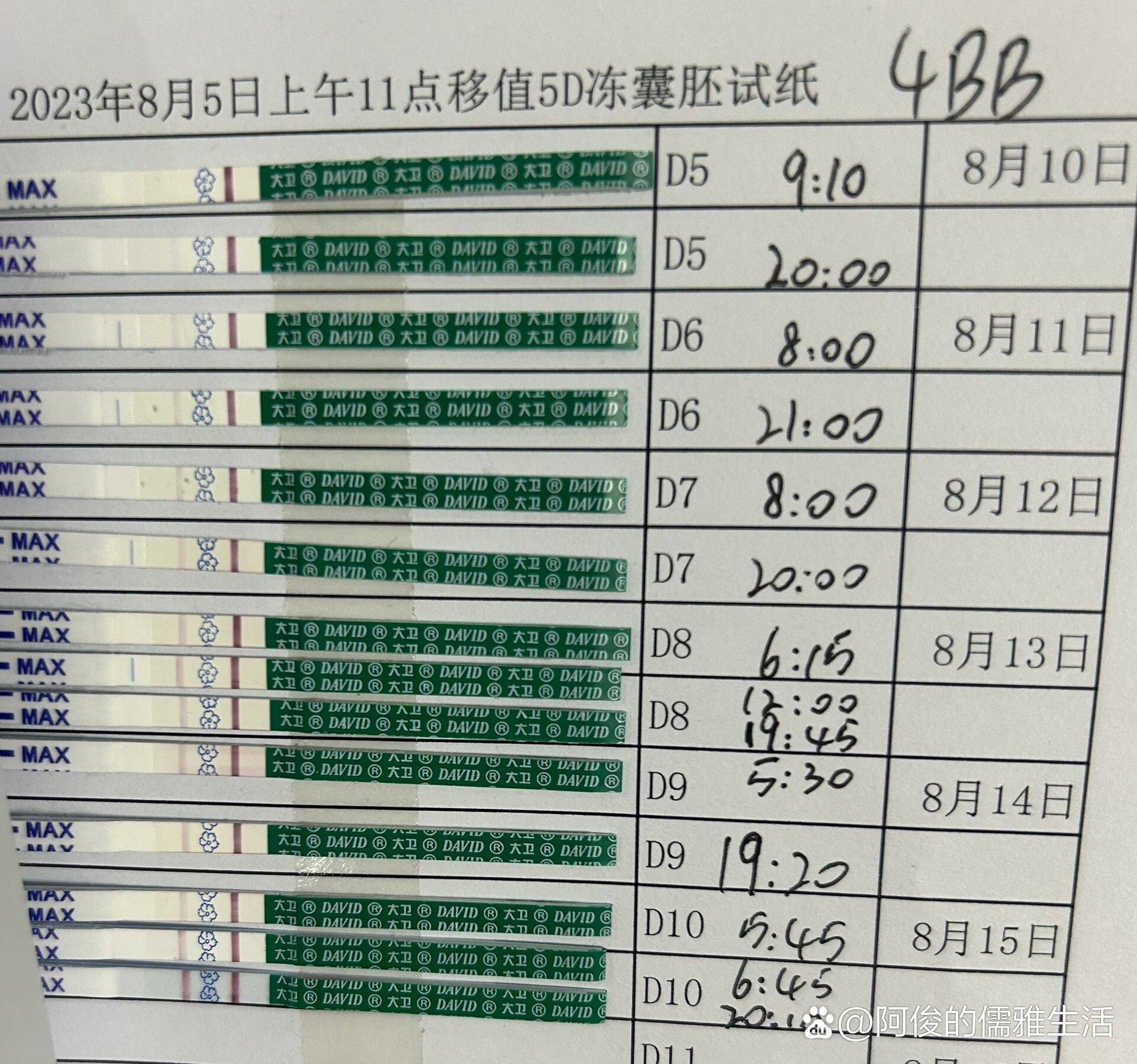 移植后试纸变化图图片