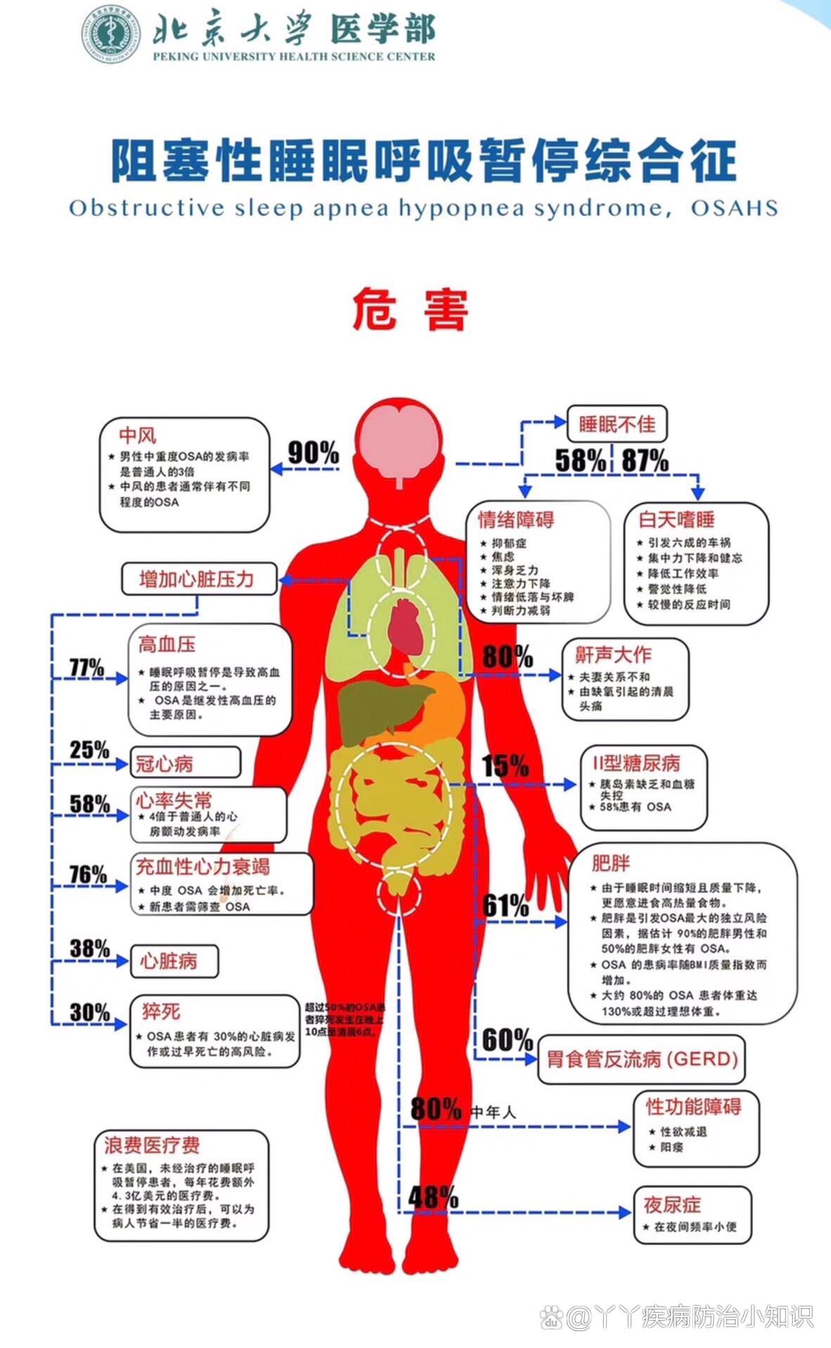 呼吸道疾病有哪些图片