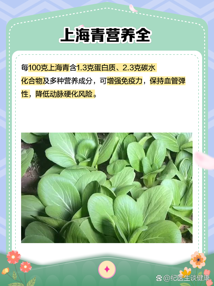 上海青的营养价值及功效
