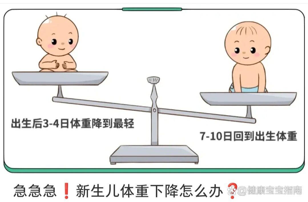 新生儿体重增长图片