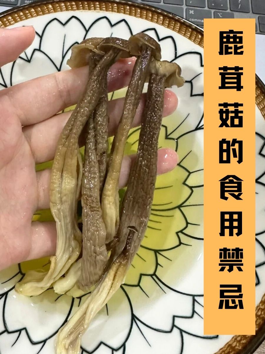 注意:鲜掉眉毛的鹿茸菇,原来还有这5个禁忌!