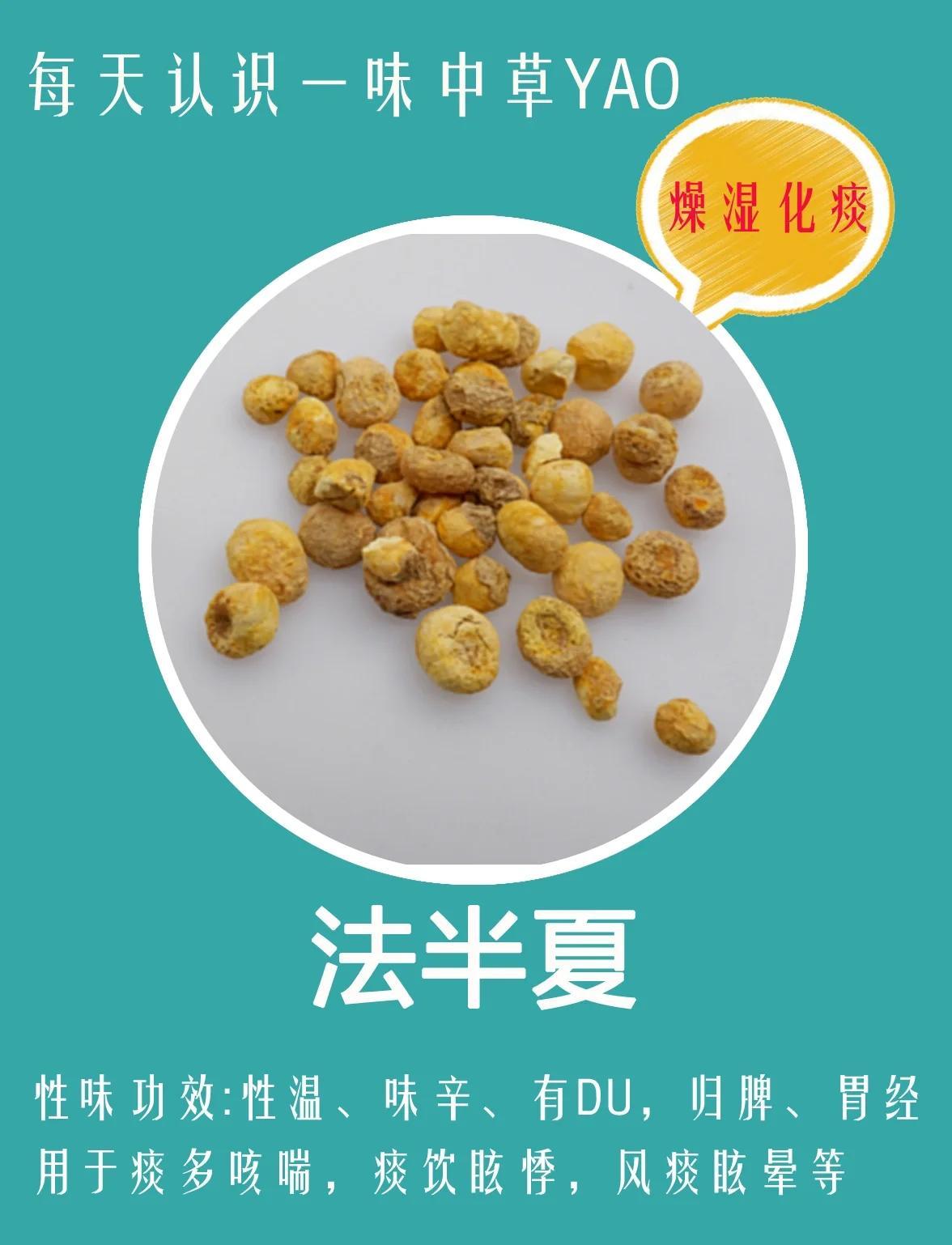 法半夏：中药材中的燥湿化痰良药