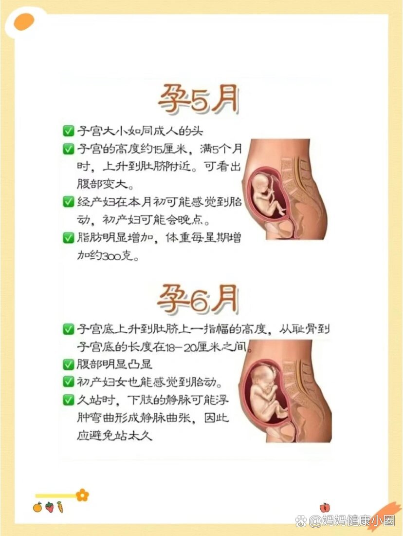 天左右(40周),通常分为三个阶段:孕早期(怀孕1周到12周),孕中期(怀孕