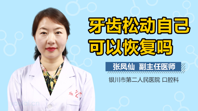 牙齿松动自己可以恢复吗