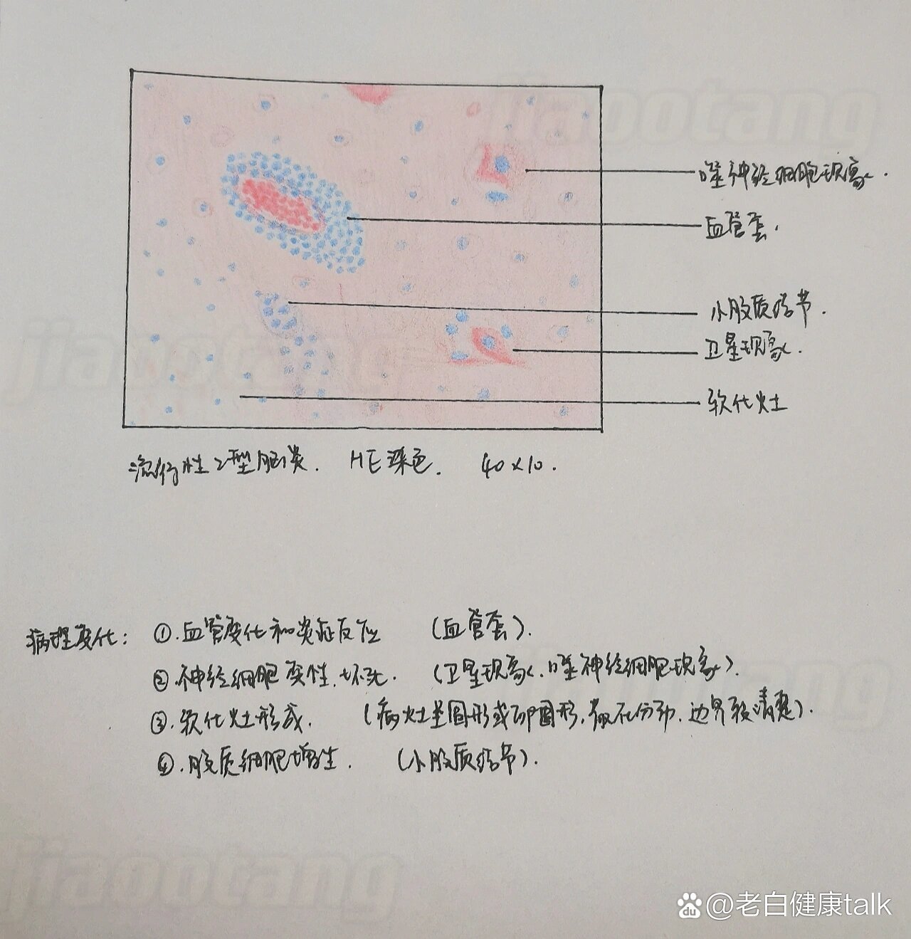 乙脑红蓝铅笔手绘图图片