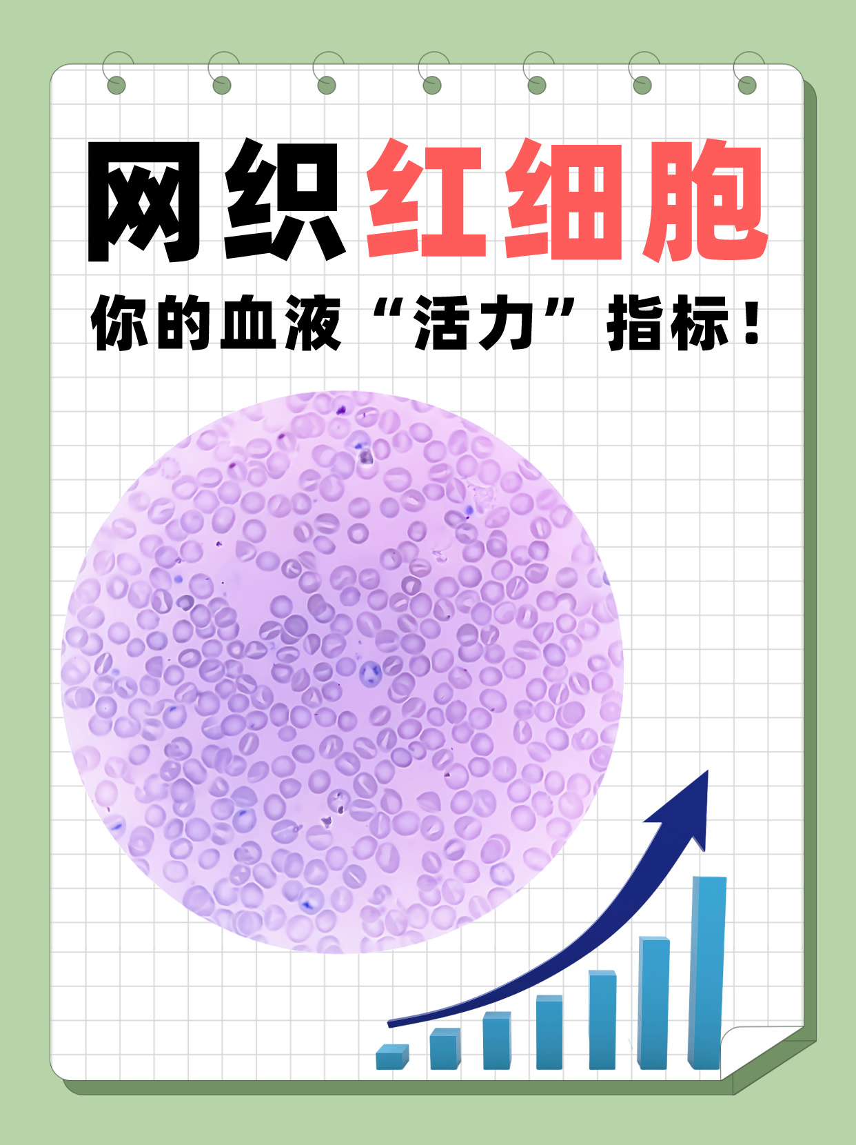 网织红细胞高 全网资源