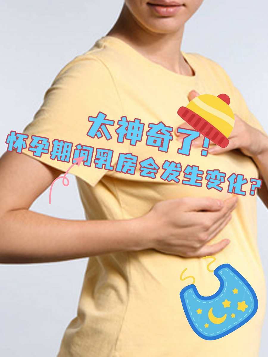 乳房胀痛 怀孕图片