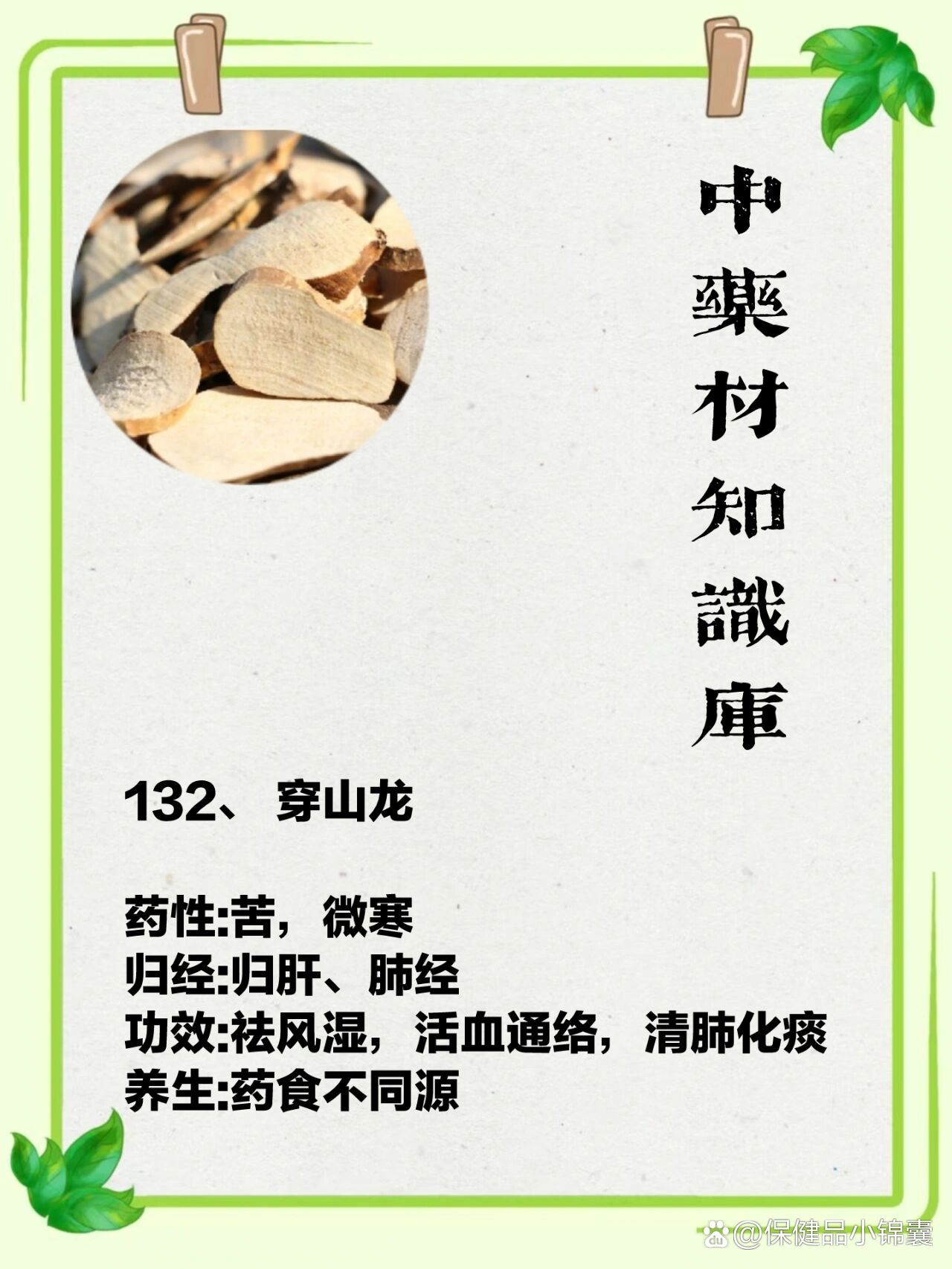 穿山龙药性:苦,微寒归经:归肝,肺经功效:祛风湿,活血
