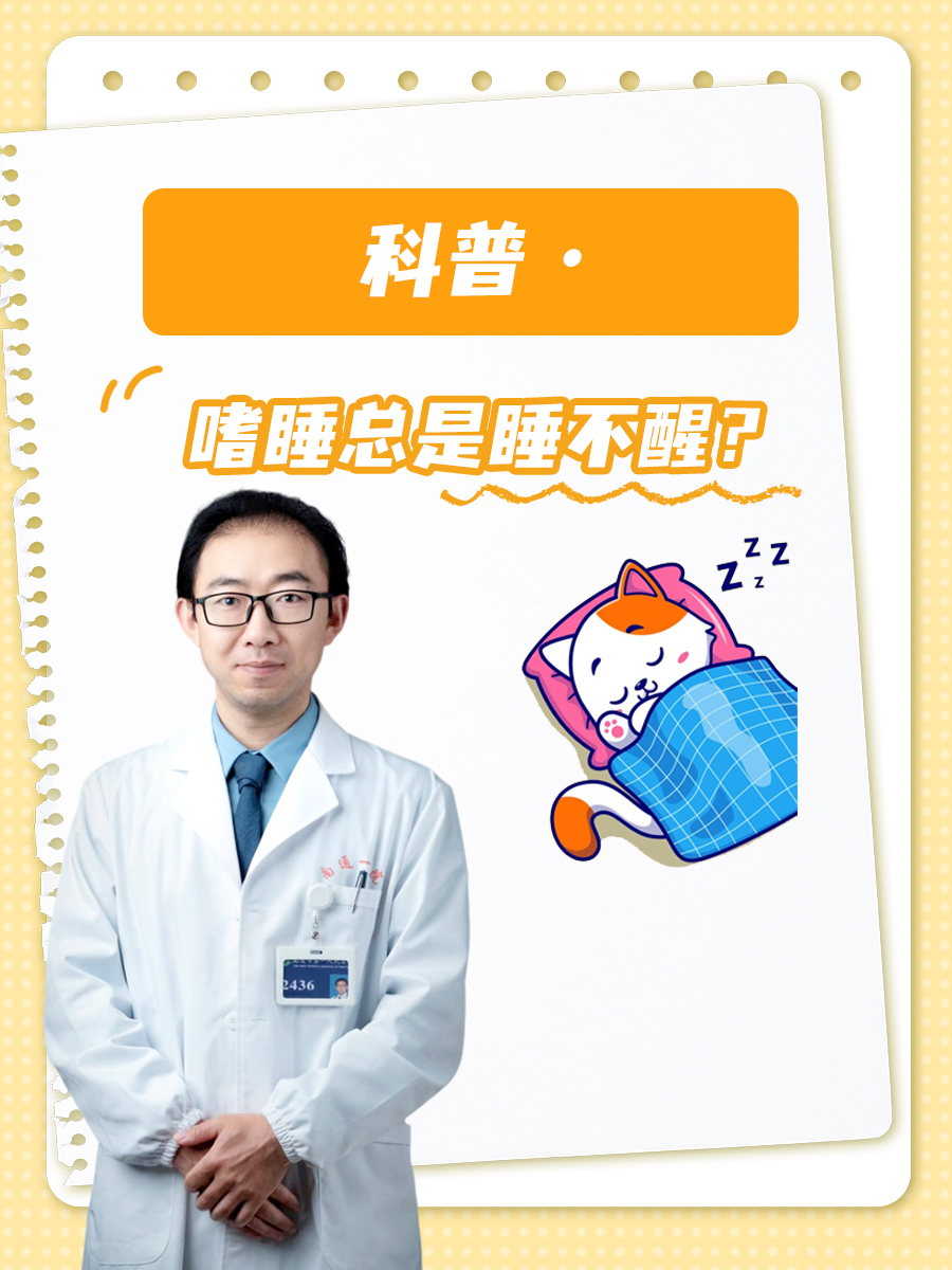 嗜睡的拼音 全网资源