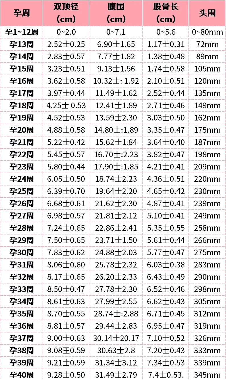 📊1～40周胎儿发育标准数值对照表
