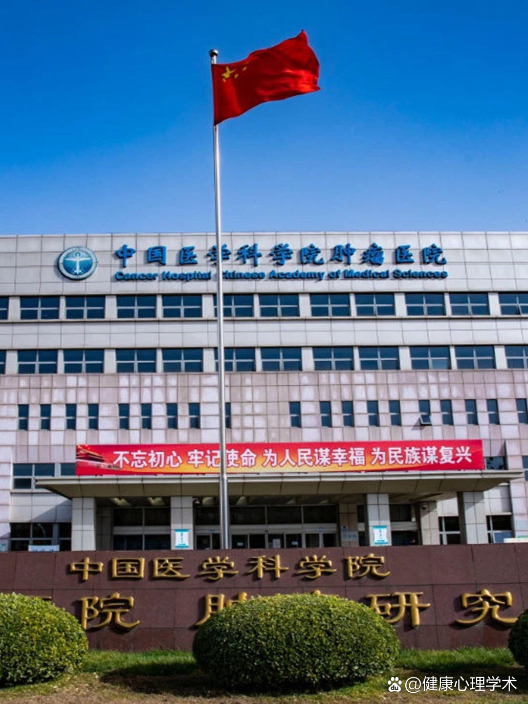 包含中国医学科学院肿瘤医院代挂专家号加代问诊高效率服务的词条