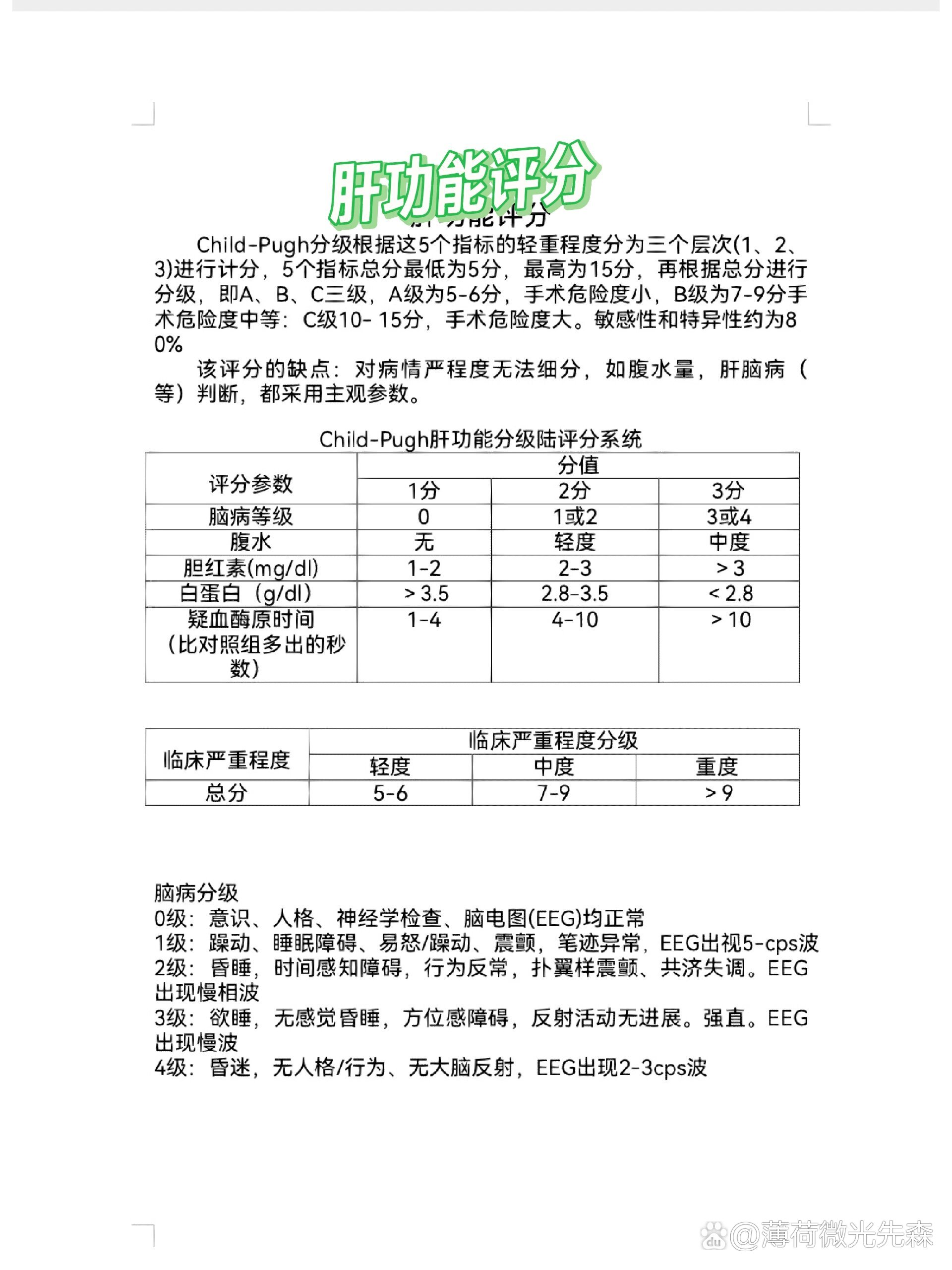 肝功能分级标准最新图片