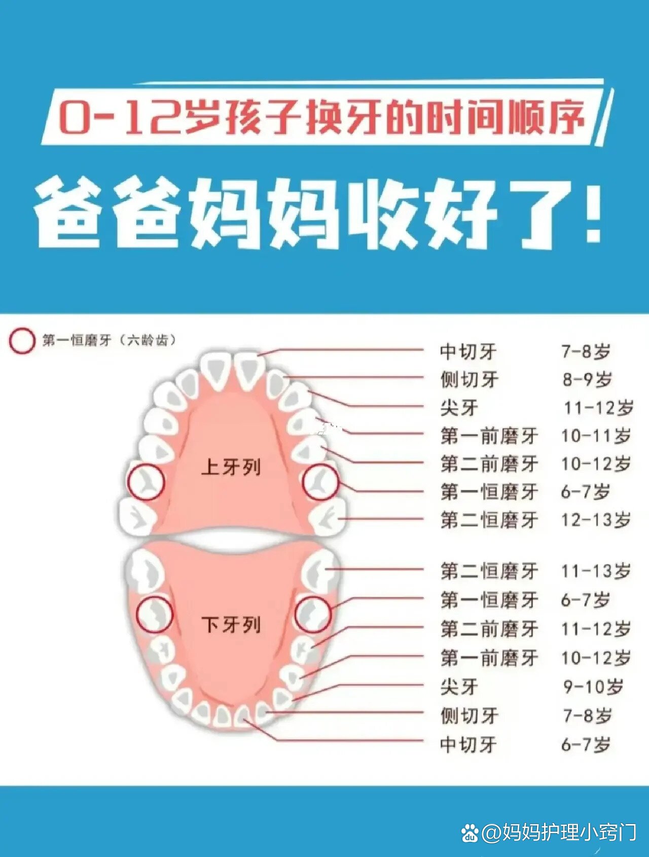 婴儿先长侧切牙的原因图片