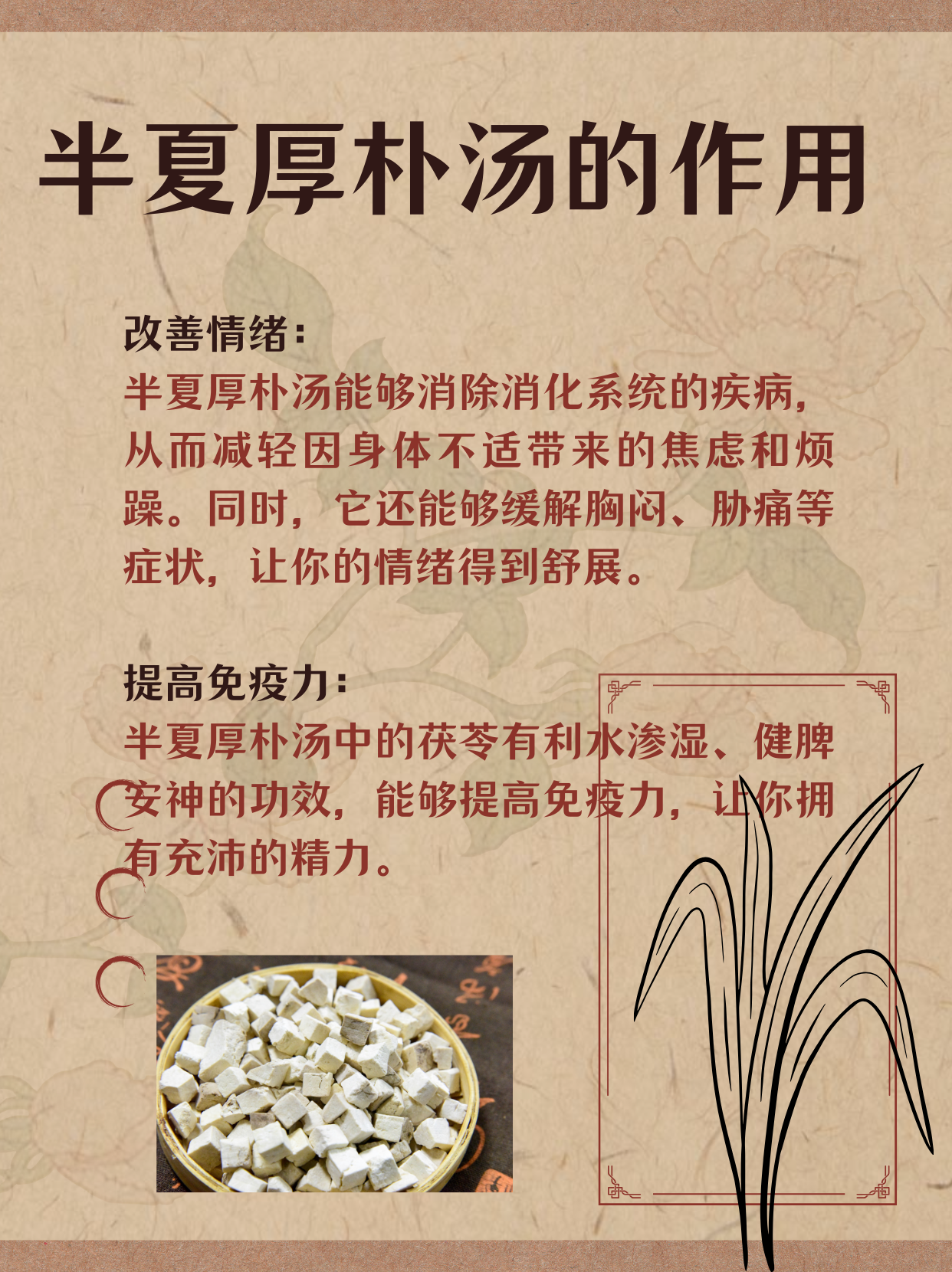 半夏厚朴汤——来自古代的"情绪调节器"