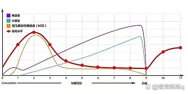 怀孕后激素水平变化图图片