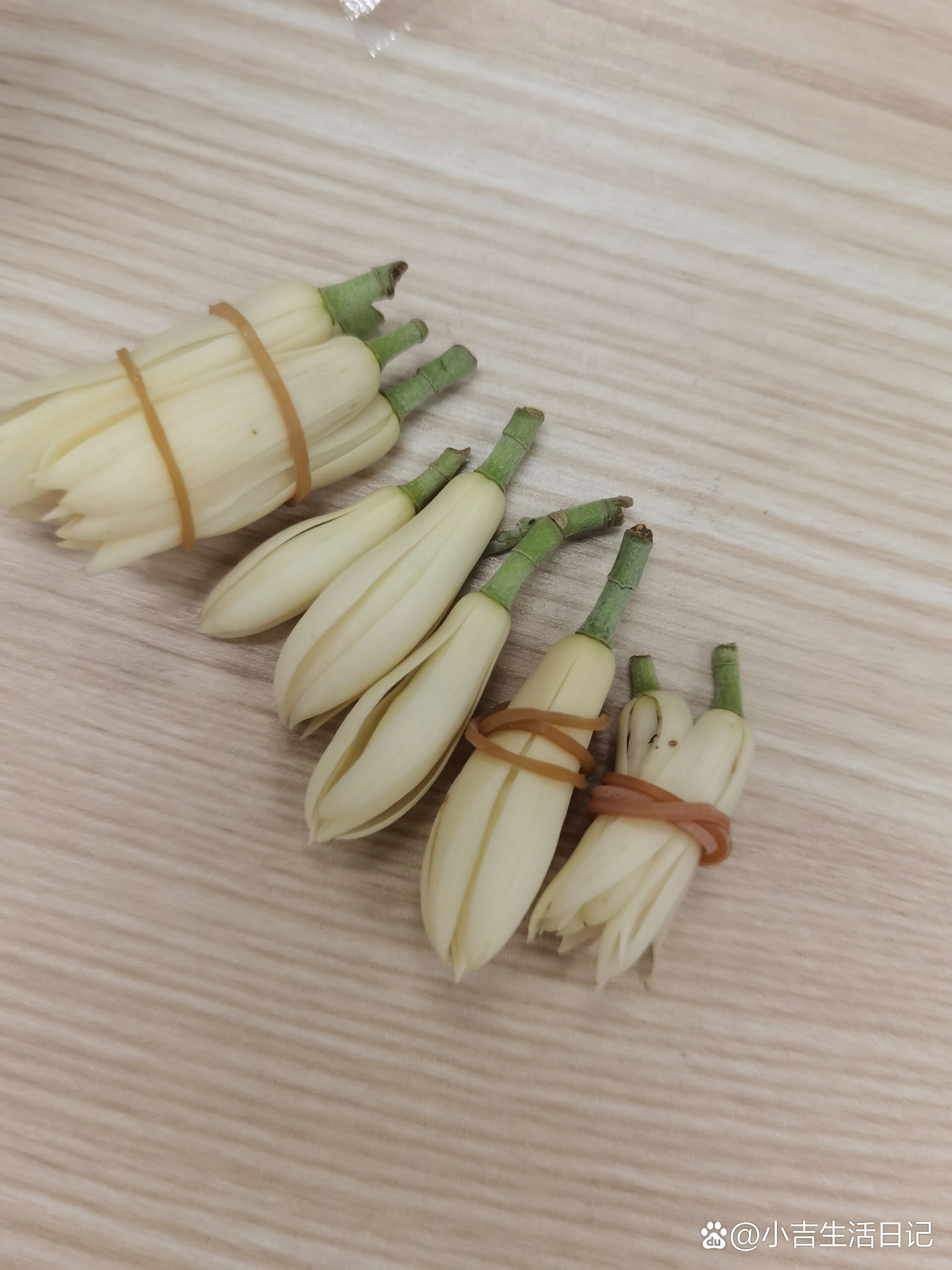 黄果兰泡酒专治蚊虫叮咬,从小用到大