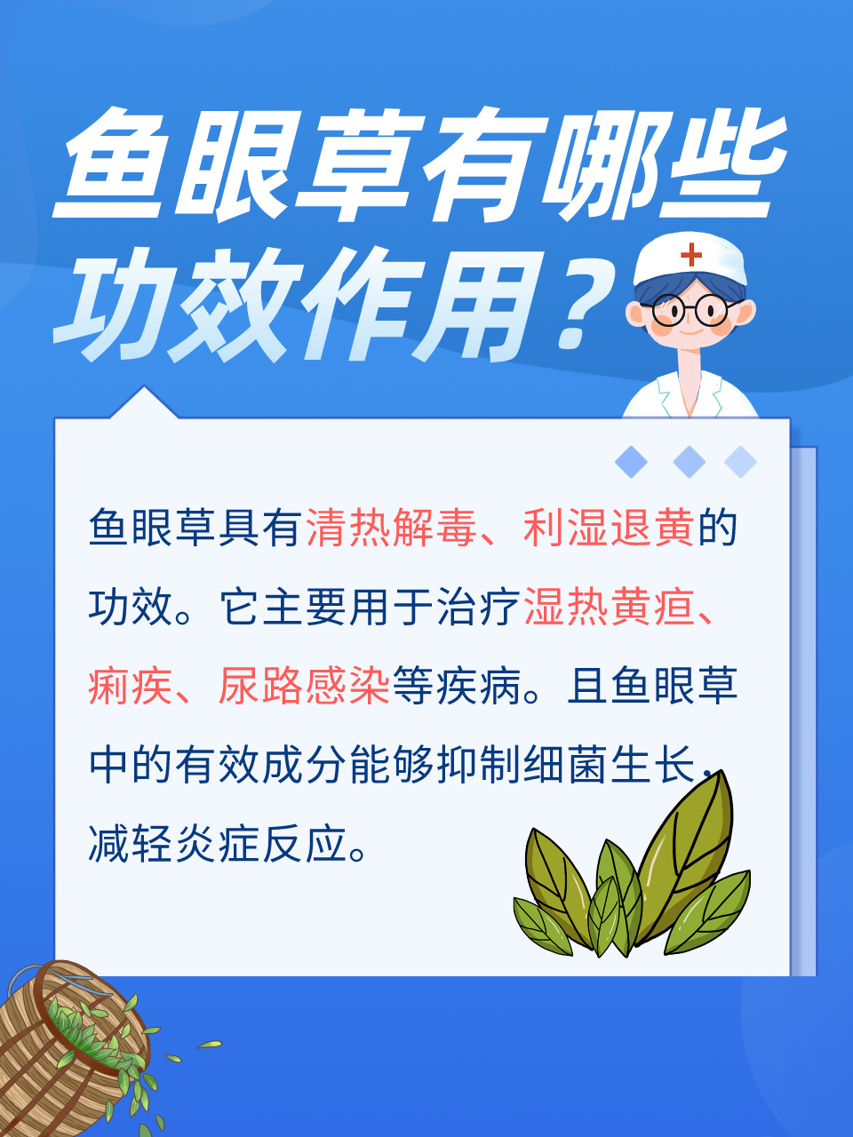 解锁鱼眼草的秘密,健康作用大揭秘!