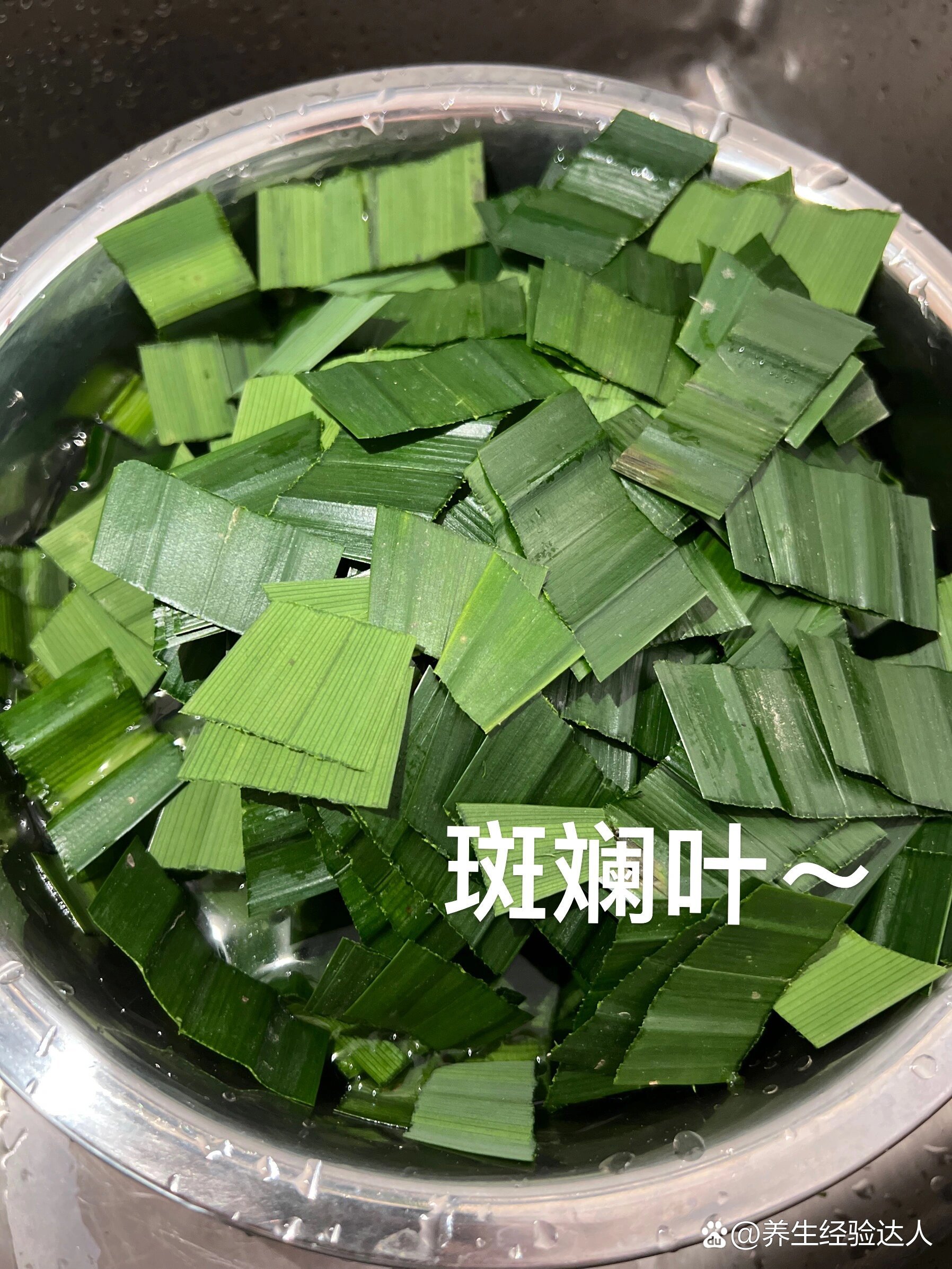  p>给大家科普一下斑斓叶～ br>和各位科普下斑斓