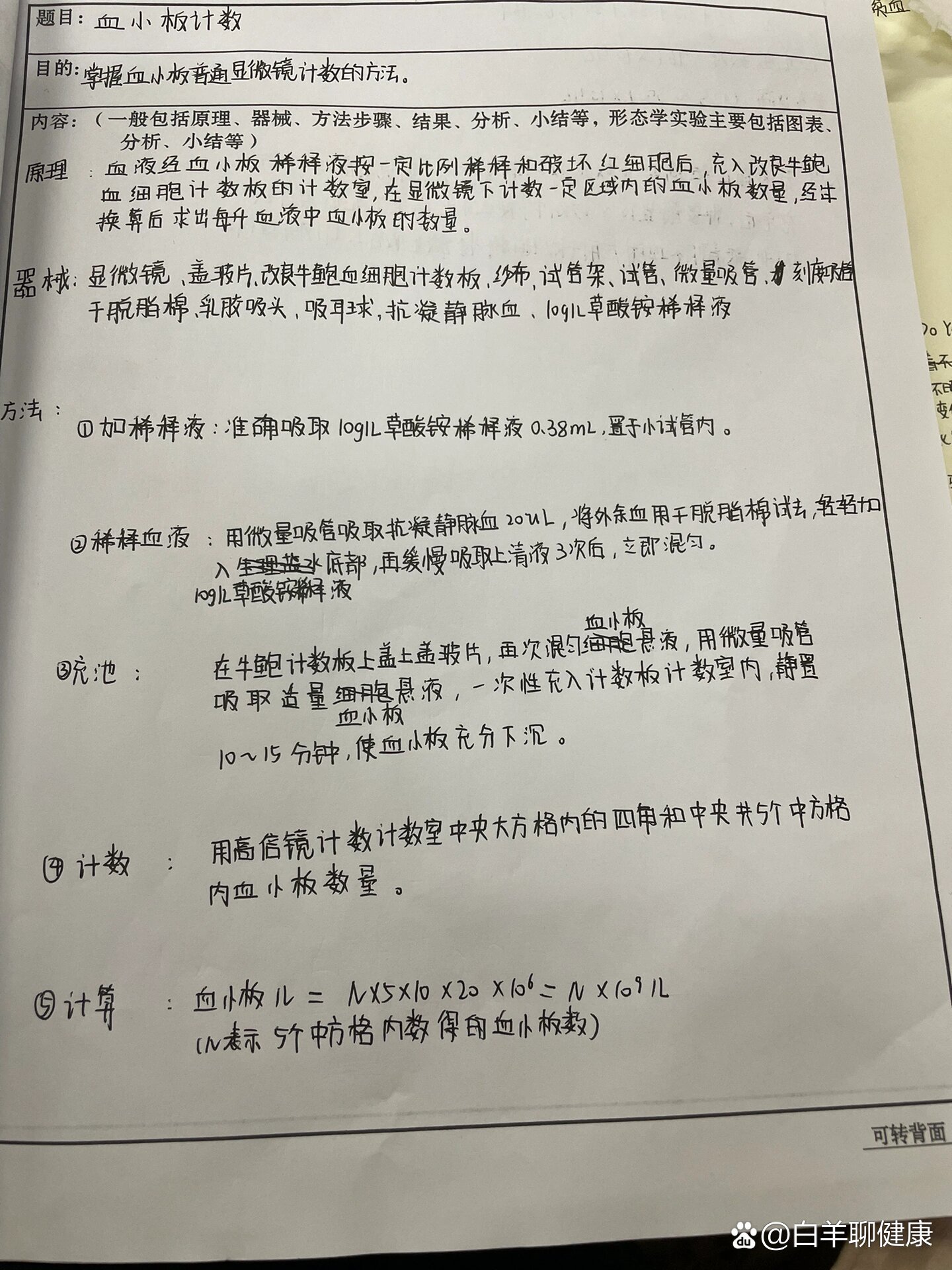 血小板手工计数图片