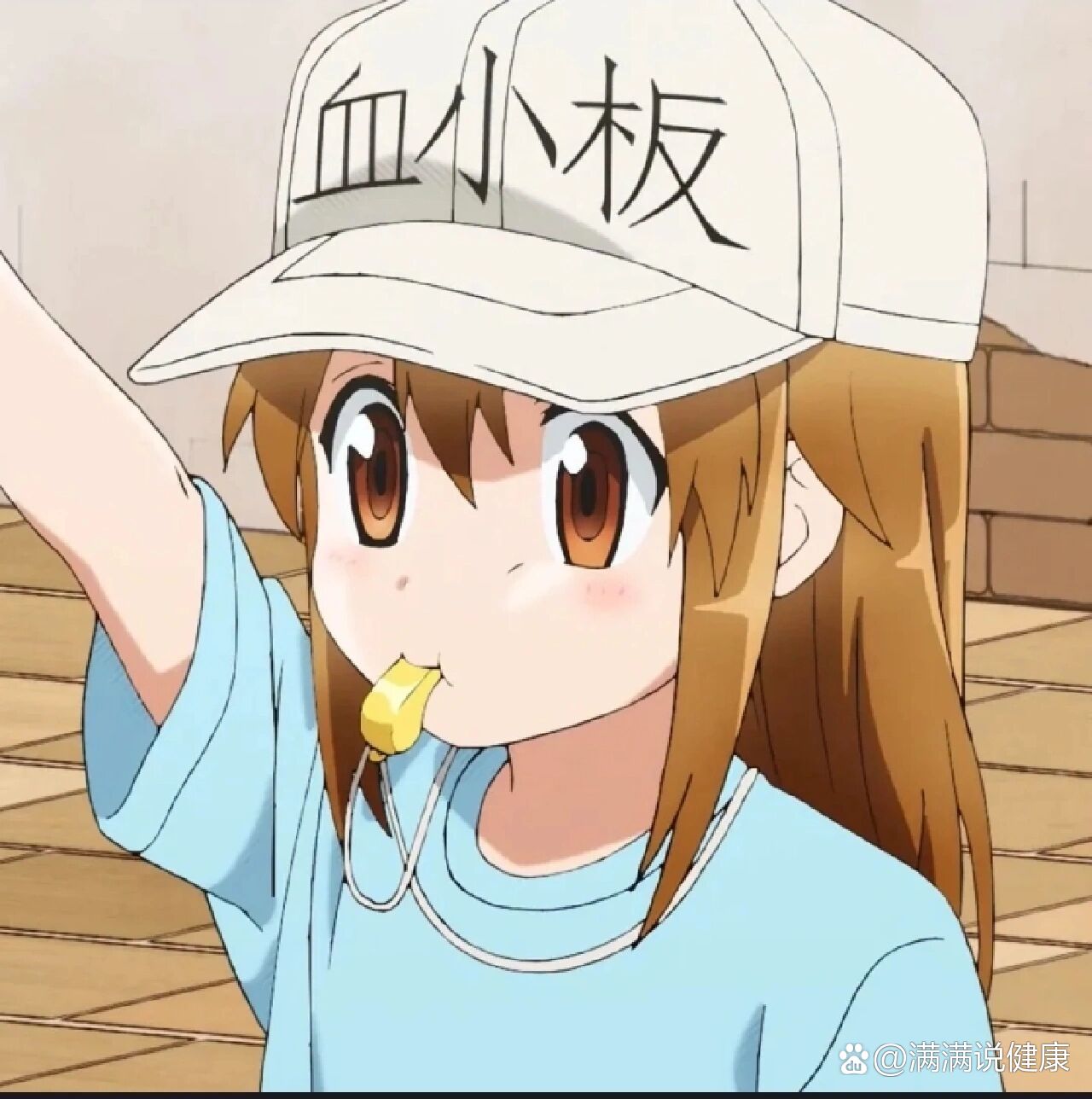 工作细胞血小板